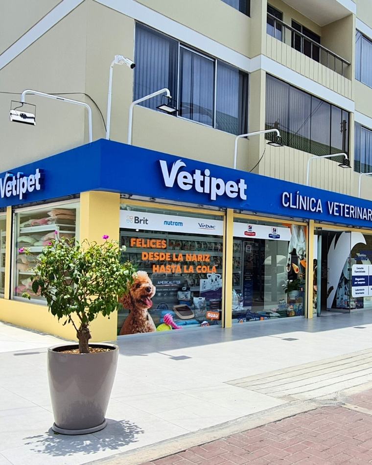 Vetivet